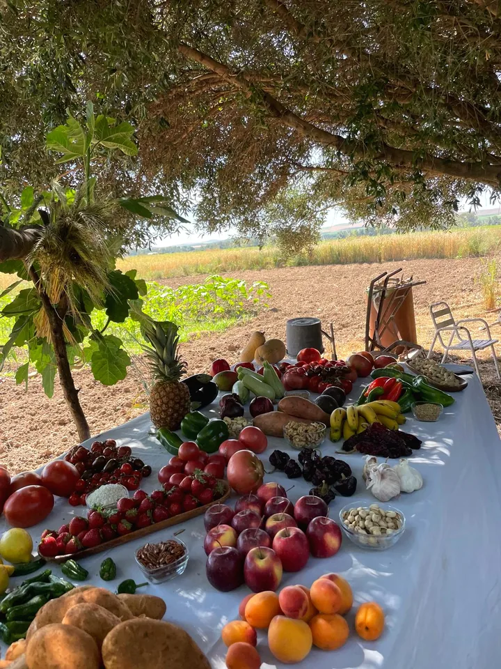 Una mesa con verduras, frutas y frutos secos bajo un árbol, con el campo al fondo