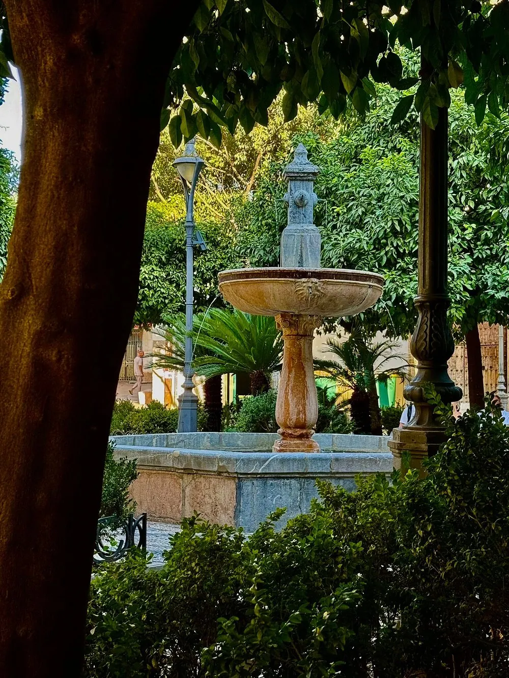 La fuente de la Plaza de San Andrés entre los naranjos, a unos pasos de Jugo